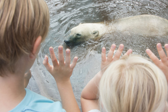 AquaZoo Friesland Van der Valk Hardegarijp