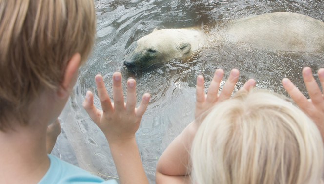 AquaZoo Friesland Van der Valk Hardegarijp